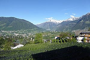 Blick auf Meran, Dorf Tirol und Vinschgau