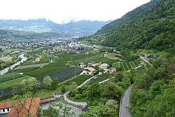 Blick auf Forst und im Hintergrund Meran