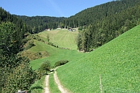 der Weg 34a führt entlang einer Almwiese, bis er nach rechts in den Wald (Bildmitte) abbiegt