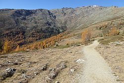 noch oberhalb der Baumgrenze