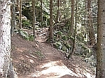 Waldweg zwischen Egger und Greiterer