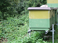zahlreiche Bienenstöcke begleiten den Wanderer